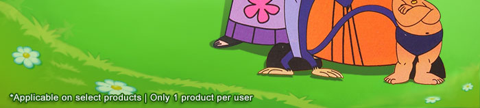 Chota Bheem merchandise at Rs. 1