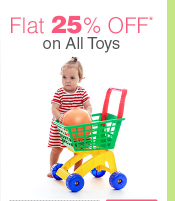 Flat 25% OFF* on All Toys