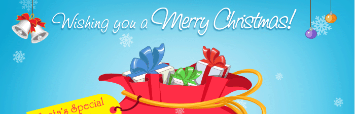 Wishing you a Merry Christmas!