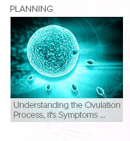 Understanding the Ovulation Process, it's Symptoms & other Facts