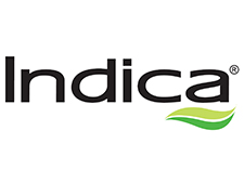Indica