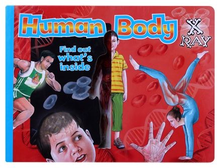 Human Body X-Ray
