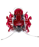 Hexbug Ant 10