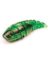 Hexbug Larva