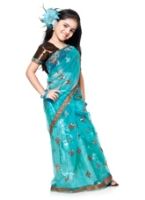 Bhartiya Paridhan - Designer Saree Set