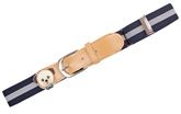 Belt - Bear Design