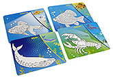 Toysbox - Aqua Colour It Wipe It