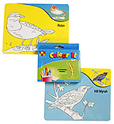 Toysbox - Birds Colour It Wipe It