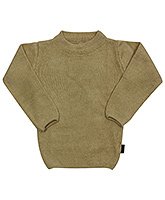 Full Sleeves Round Neck Brown Sweater