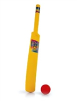 Ok Play My First Cricket