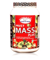 GDYNS Fruit Mass Plus - Chocolate