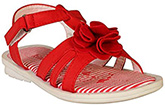 Kitten - Floral Applique Sandals