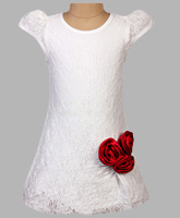 Little Darling - Lace Party Dress With Satin Rosettes