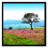 Premium Photo Painting Of Pink Flower Bed And A Tree - GL056 