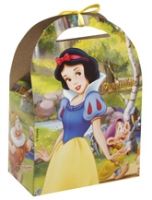 Plates Cups and Treat Sacks - Disney Princess - Treat Box