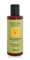 Soul Tree Amla Body Wash