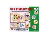 Puzzles - Creatives- Our Five Senses