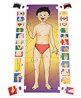Board Games - Creatives  - Body Parts