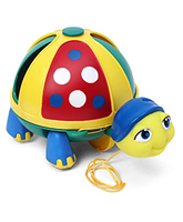 Funskool - Roly Poly Turtle