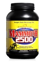 Weight Gainers  - Interactive Nutrition Mammoth 2500 - Chocolate