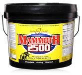 Weight Gainers  - Interactive Nutrition Mammoth 2500 - Chocolate
