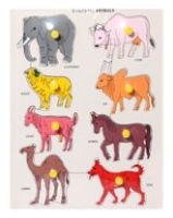 Domestic Animals