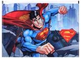 Superman - Zipper File