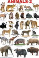 Animals - 2 Chart