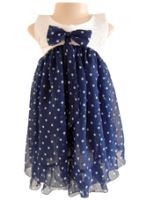 Faye -  Velvet Polka Dress