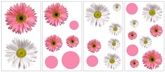 Elementto - Flower Power Stickers