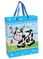 Party Bag