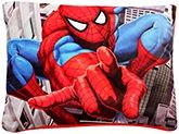 Spider Man Square Cushion