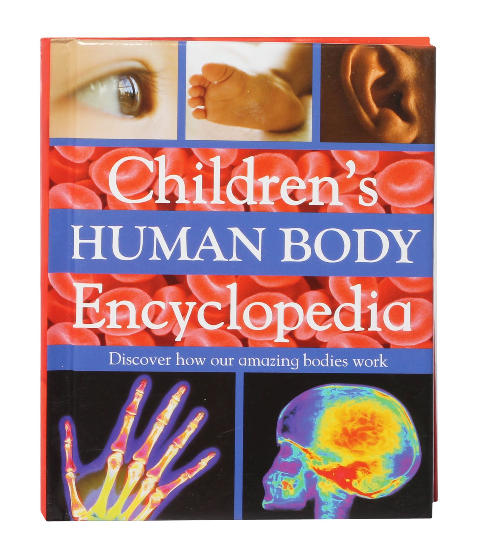 Childrens Human Body Encyclopedia Online in India, Buy at Best Price from 19940