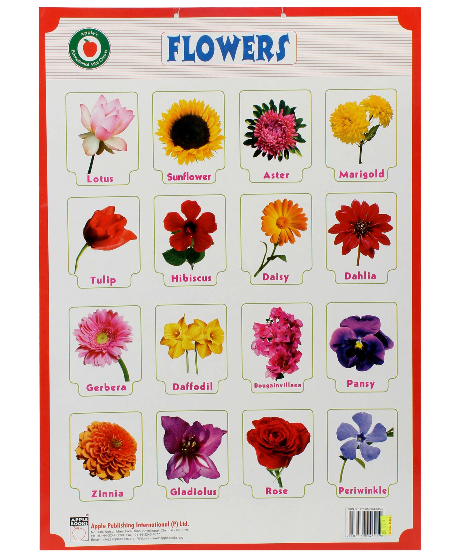 Flower Chart With Names And Pictures