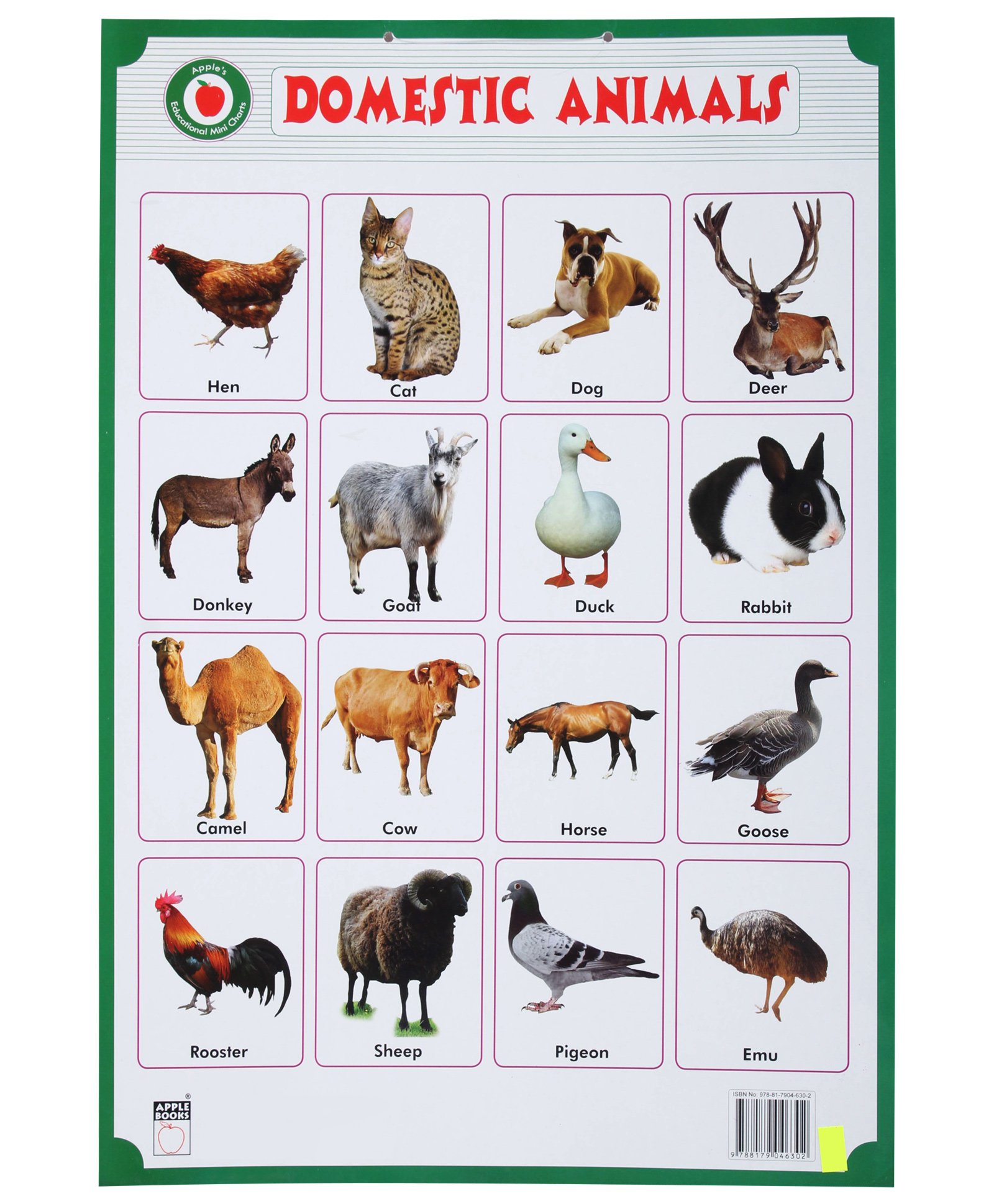 List Of Small Domestic Animals