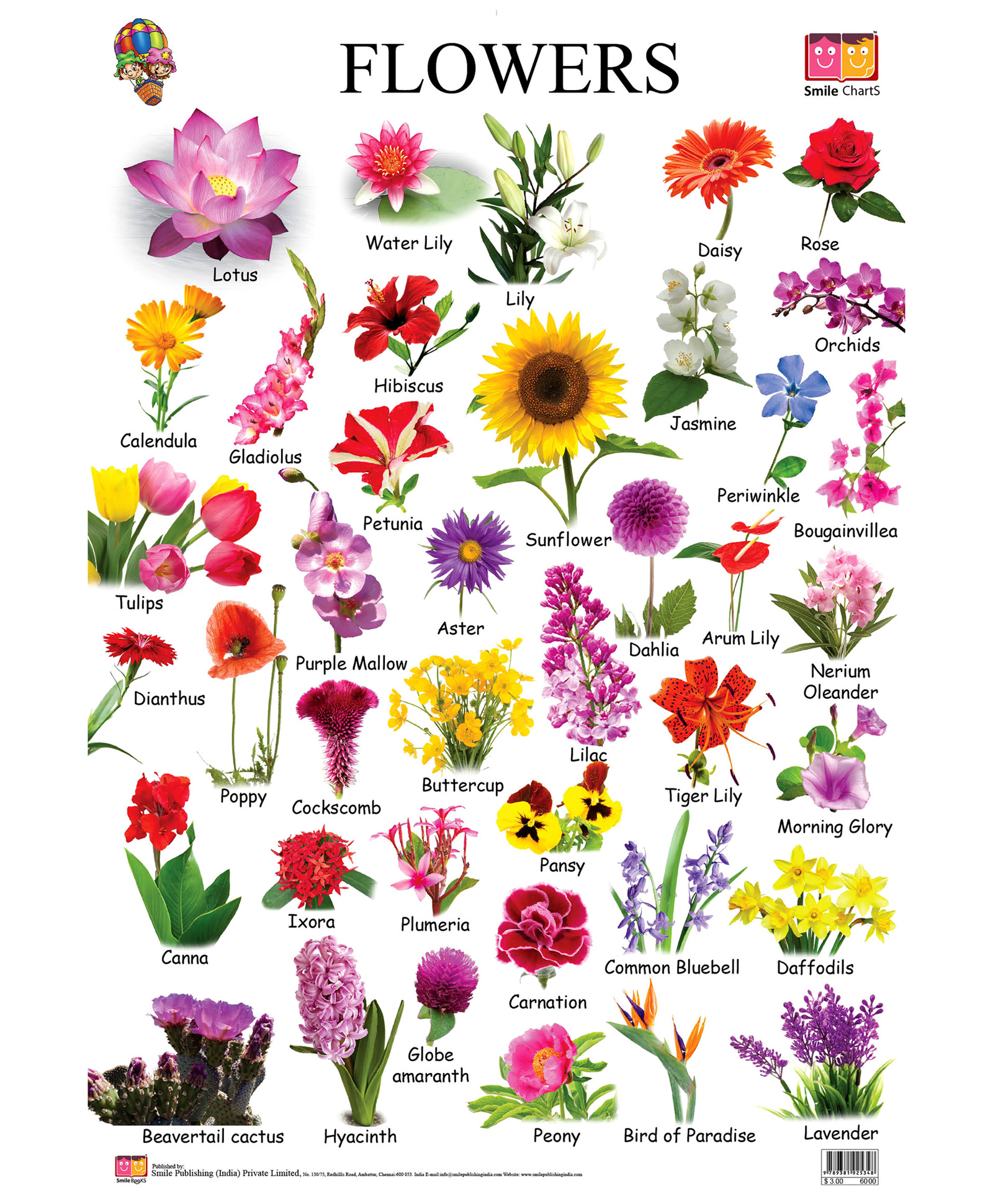 Flower Chart With Names