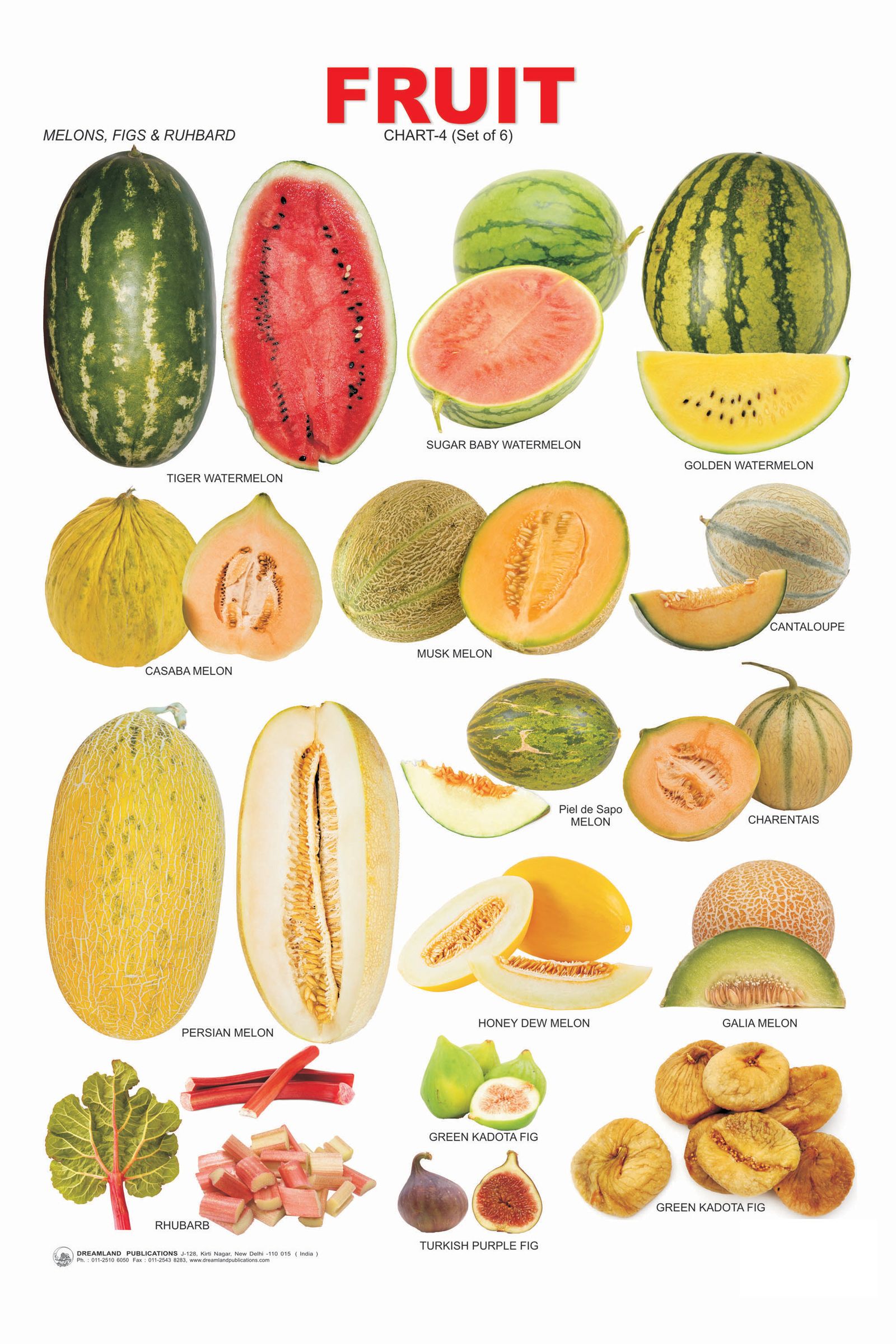 vegetables-and-fruit-list-names-on-pinterest-vegetables-squashes-and