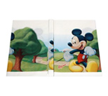 Table Cover and Decor