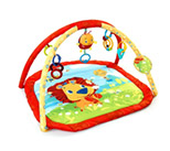 Infant Play Gyms