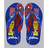 Kidsville Marvels Spider Man & Text Printed Flip Flops - Blue