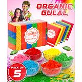 Fiddlerz Holi Gulal Combo of Natural Organic Colors Pack of 5 - 80 g Each (Color May Vary)