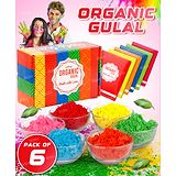 Fiddlerz Holi Gulal Combo of Natural Organic Colors Holi Pack of 6 - 80 g Each (Color May Vary)