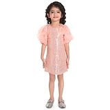 Peppermint Half Sleeves Flower & Sequin Embellished Party Wear Dress - Peach