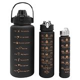 House of Quirk 3 Water Bottle with Straw -Black