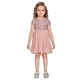 Peppermint Half Sleeves Sequin Embellished Bodice Detailed Fit & Flared Party Dress -  Pink