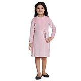 Peppermint Full Sleeves Floral Applique Shimmer Detailed Dress - Pink