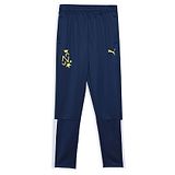 PUMA Placement Brand Logo Printed   Lounge and Track Pants - Persian Blue Racing Blue