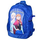 Disney By Kuber Kuber Industries Disney Frozen School Bags  Kids School Bags  Student Bookbag  Travel Backpack  School Bag for Girls & Boys  School Bag with 3 Compartments  Blue