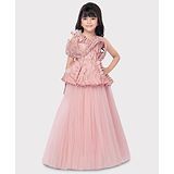 Betty By Tiny Kingdom Sleeveless Shimmer & Floral Applique Detailed Party Wear Net Gown - Pink