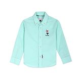 US Polo Assn Cotton Knit Full Sleeves Solid Shirt with Logo Print - Mint